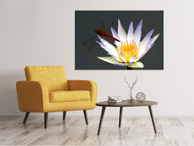 Load image into Gallery viewer, Canvas print The dragonfly on the flower