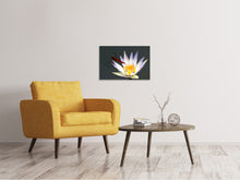 Load image into Gallery viewer, Canvas print The dragonfly on the flower