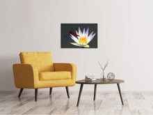 Load image into Gallery viewer, Canvas print The dragonfly on the flower
