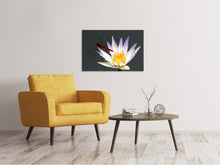 Load image into Gallery viewer, Canvas print The dragonfly on the flower