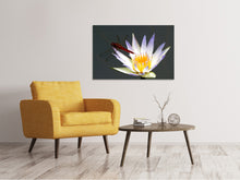 Load image into Gallery viewer, Canvas print The dragonfly on the flower
