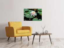 Load image into Gallery viewer, Canvas print The proud water lily