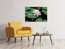 Load image into Gallery viewer, Canvas print The proud water lily