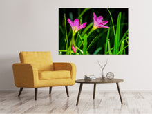 Load image into Gallery viewer, Canvas print Flowers in nature