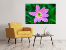 Load image into Gallery viewer, Canvas print Close up of pink blossom