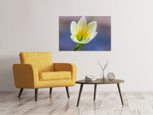 Load image into Gallery viewer, Canvas print Close up yellow blossom