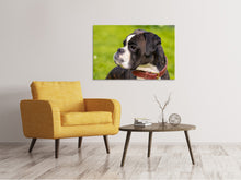 Load image into Gallery viewer, Canvas print Attentive boxer