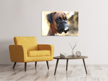 Load image into Gallery viewer, Canvas print The boxer look