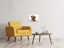 Load image into Gallery viewer, Canvas print Typical boxer