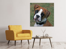 Load image into Gallery viewer, Canvas print Play with me !