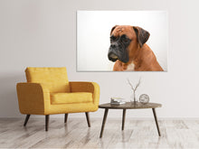 Load image into Gallery viewer, Canvas print Boxer - the watchdog