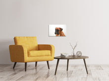 Load image into Gallery viewer, Canvas print Boxer - the watchdog