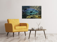 Load image into Gallery viewer, Canvas print Big fish