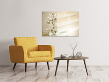 Load image into Gallery viewer, Canvas print Orchid in the glass