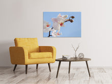 Load image into Gallery viewer, Canvas print Orchid in the sky