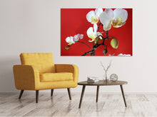 Load image into Gallery viewer, Canvas print White orchids on red wall