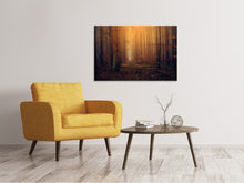 Load image into Gallery viewer, Canvas print Mysterious forest