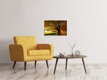 Load image into Gallery viewer, Canvas print Trees in the autumn