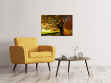 Load image into Gallery viewer, Canvas print Trees in the autumn