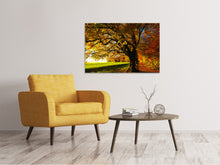Load image into Gallery viewer, Canvas print Trees in the autumn