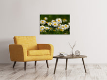 Load image into Gallery viewer, Canvas print Daisies XL 2