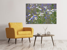Load image into Gallery viewer, Canvas print Wild flower meadow