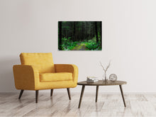 Load image into Gallery viewer, Canvas print Wild forest