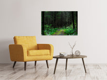 Load image into Gallery viewer, Canvas print Wild forest