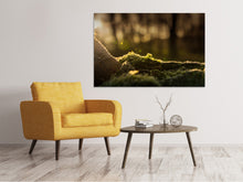 Load image into Gallery viewer, Canvas print The moss
