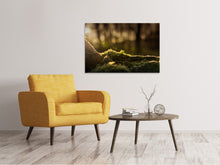Load image into Gallery viewer, Canvas print The moss