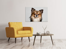Load image into Gallery viewer, Canvas print Sweet chihuahua