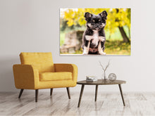 Load image into Gallery viewer, Canvas print Cute chihuahua puppy