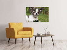 Load image into Gallery viewer, Canvas print Chihuahua to fall in love