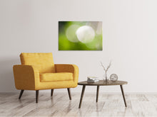Load image into Gallery viewer, Canvas print Reflections balls