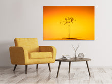 Load image into Gallery viewer, Canvas print The jumping drop