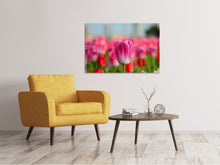 Load image into Gallery viewer, Canvas print Tulip field in pink-red