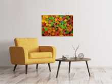 Load image into Gallery viewer, Canvas print Colorful fruit gums
