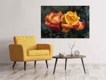 Load image into Gallery viewer, Canvas print The rose in the garden