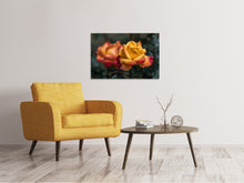 Load image into Gallery viewer, Canvas print The rose in the garden