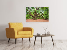 Load image into Gallery viewer, Canvas print The Oak
