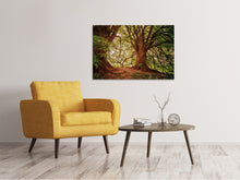 Load image into Gallery viewer, Canvas print In the dense forest