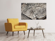 Load image into Gallery viewer, Canvas print The tree rings