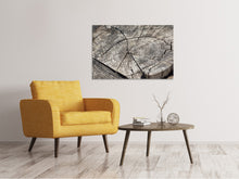 Load image into Gallery viewer, Canvas print The tree rings