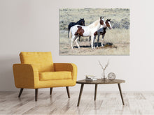 Load image into Gallery viewer, Canvas print 3 wild horses
