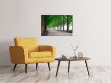 Load image into Gallery viewer, Canvas print Beautiful tree avenue