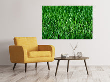 Load image into Gallery viewer, Canvas print The meadow in XL