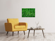 Load image into Gallery viewer, Canvas print The meadow in XL
