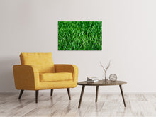 Load image into Gallery viewer, Canvas print The meadow in XL