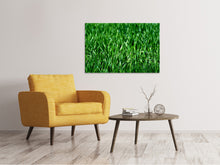 Load image into Gallery viewer, Canvas print The meadow in XL