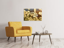 Load image into Gallery viewer, Canvas print Ornamental grass in the sunlight